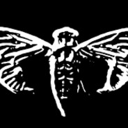 Cicada 3301