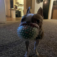 711
