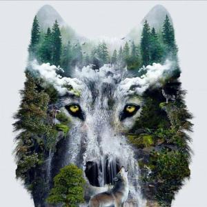 wolfhteun