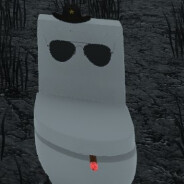 STALKER(1)