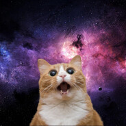 Винни Пухчини