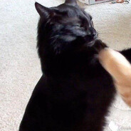 Mr. Twister